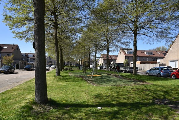 DSC_5815 (Aangepast).JPG